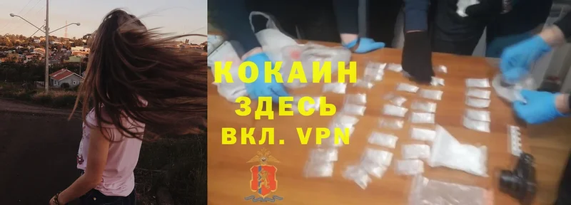 Cocaine Боливия  продажа наркотиков  Всеволожск 